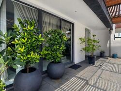 Frankel Estate (D15), Semi-Detached #608363541